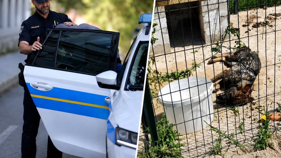 SNIMKA ZGROZILA JAVNOST: Policija uhitila 21-godišnjaka zbog zlostavljanja psa u Balama