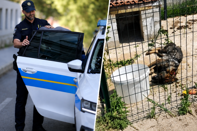 SNIMKA ZGROZILA JAVNOST: Policija uhitila 21-godišnjaka zbog zlostavljanja psa u Balama