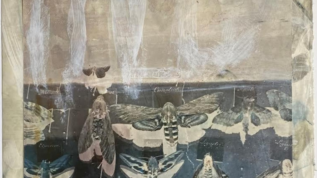 U Gradskoj galeriji Pula otvara se izložba hrvatsko-američkog umjetnika Zdenka Krtića