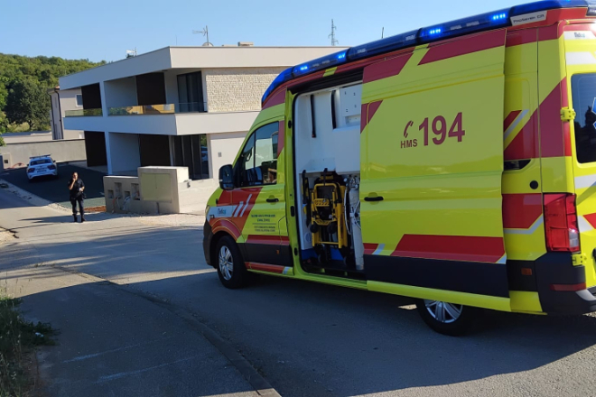 Dobre vijesti: Četverogodišnjak kojeg je u Istri ugrizao poskok izvan životne opasnosti