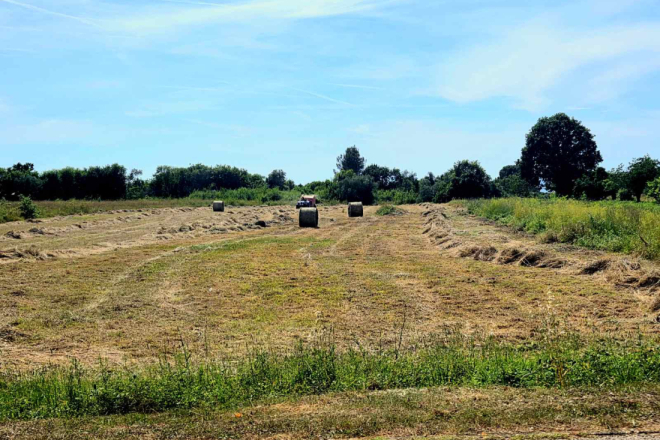 Rekordnih više od 800 tisuća eura: Istarska županija povećala potpore poljoprivrednicima