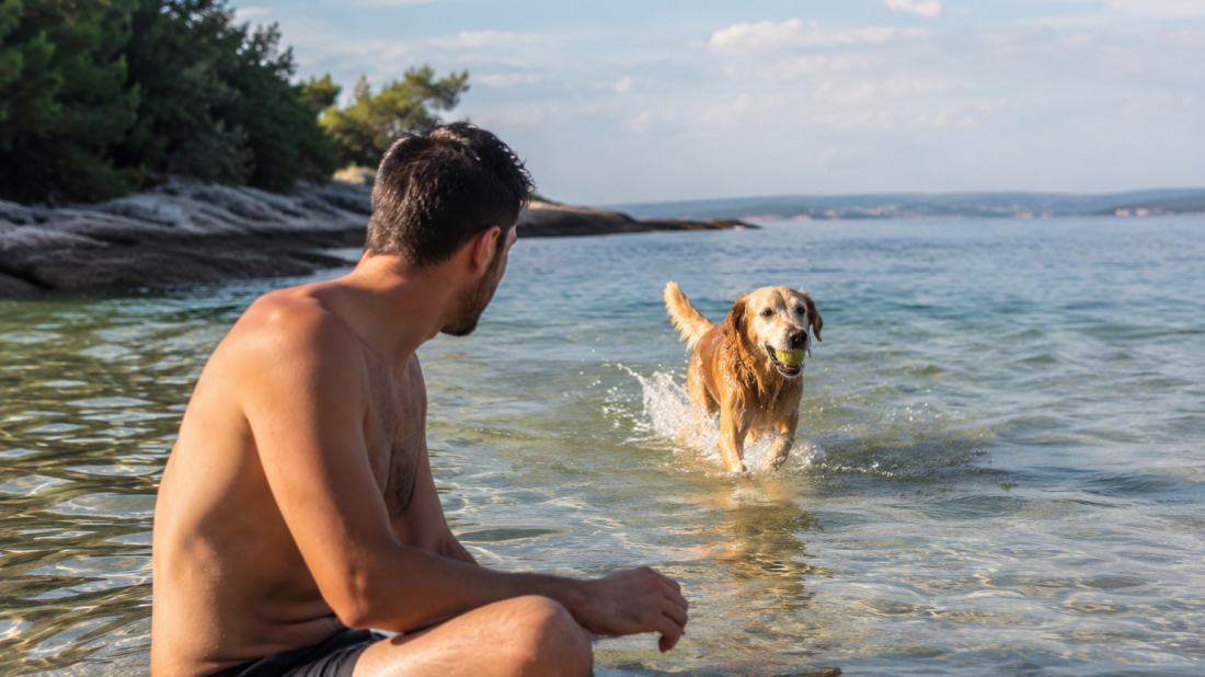 Putujete na more sa psom? Ovo su pet friendly plaže u Istri koje vlasnici ljubimaca najčešće preporučuju