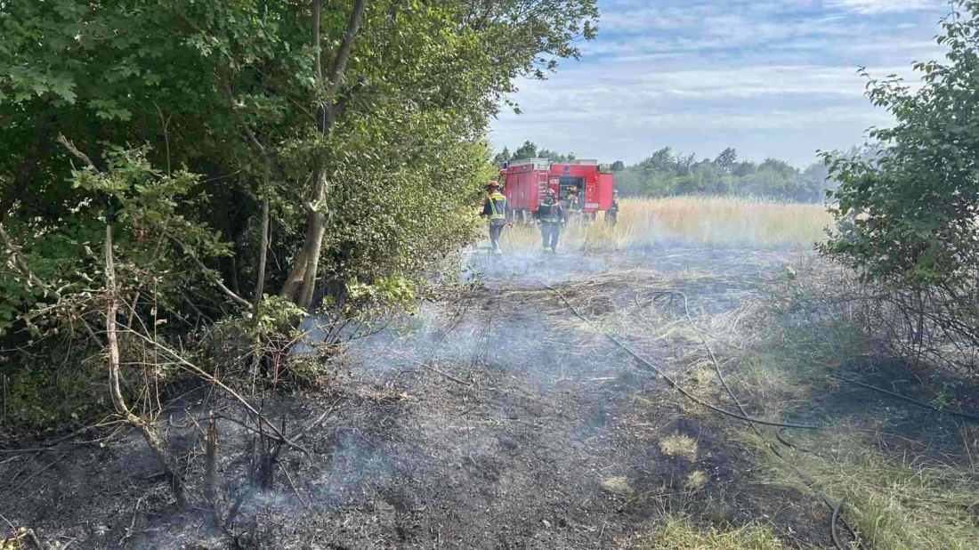 Planulo uz cestu kod Žminja, vatrogasci brzom intervencijom spriječili širenje požara