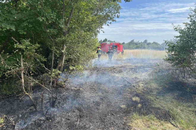 Planulo uz cestu kod Žminja, vatrogasci brzom intervencijom spriječili širenje požara