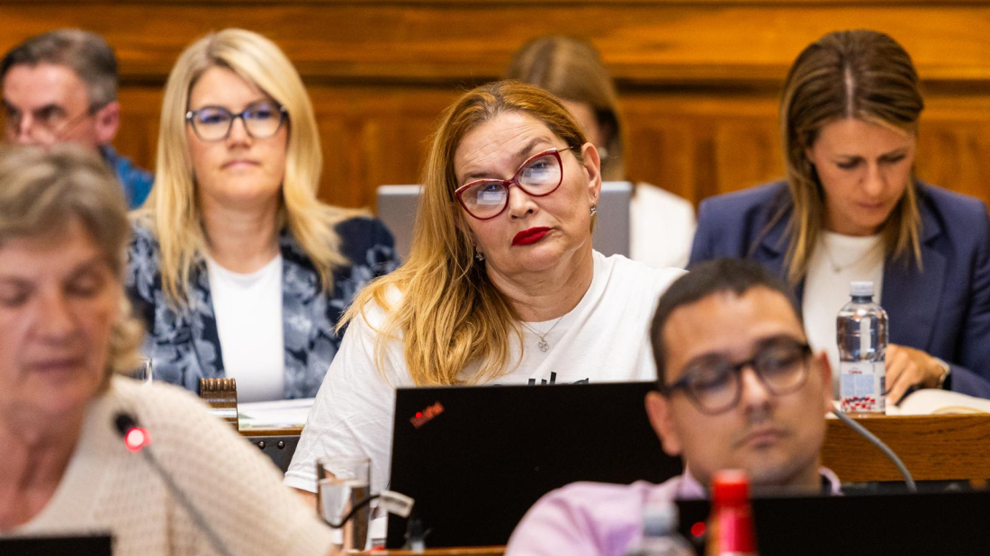 "Što su svi mladi na burzi, budale?" Pršo prozvala za uhljebljivanje, Peruško: Ne moramo raspisivati natječaj