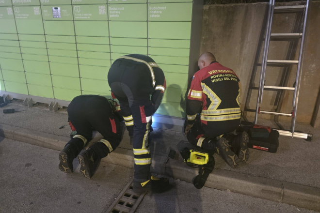 Bravo za rovinjske vatrogasce i volontere! Spašavanje mačića trajalo je više od dva sata