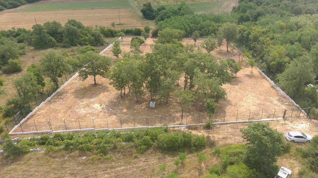 Umag nastavlja projekt skloništa za životinje, cilj je otvorenje sredinom 2028.
