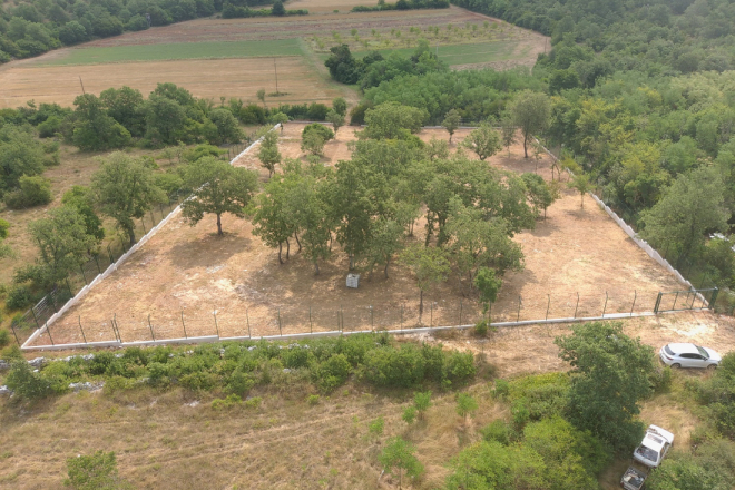 Umag nastavlja projekt skloništa za životinje, cilj je otvorenje sredinom 2028.