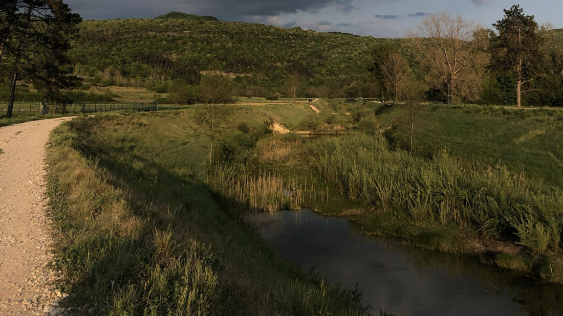 FOTO: Nekad otvoren pogled na Mirnu, danas ga skriva bujna ljetna vegetacija
