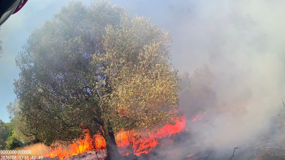 Tri velika požara buknula danas u Istri, na terenu kod Gračišća 25 vatrogasaca i dva kanadera