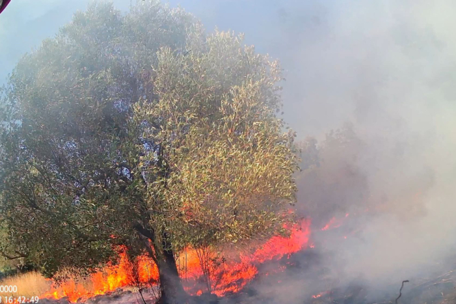 Tri velika požara buknula danas u Istri, na terenu kod Gračišća 25 vatrogasaca i dva kanadera