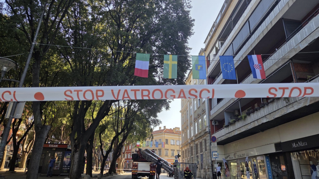 Hitna intervencija u centru Pule: Uklanja se dio velike ladonje na Giardinima