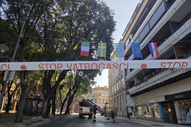 Hitna intervencija u centru Pule: Uklanja se dio velike ladonje na Giardinima