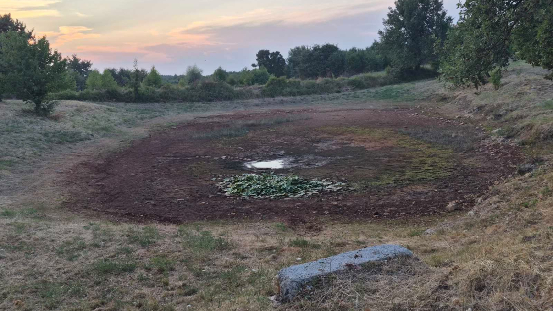 Alarmantni prizori u Tinjanu: Srbinjska lokva presušila, mještani spasili više od 3000 riba!
