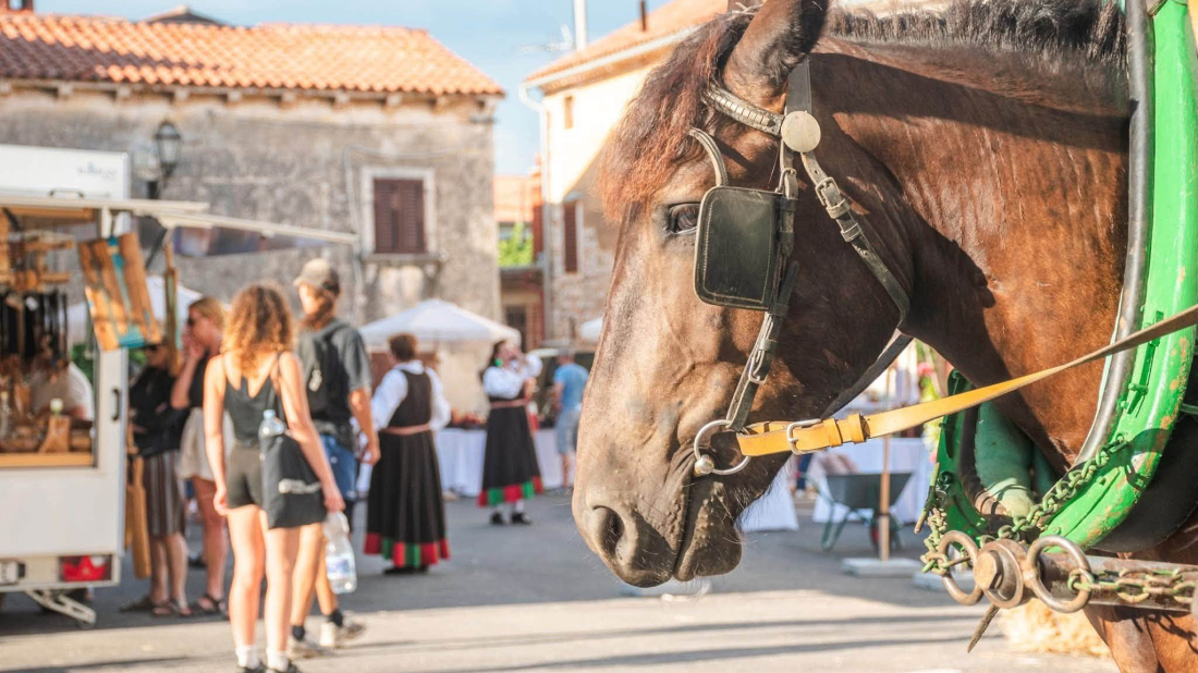 Barban u znaku tradicije, domaćih okusa i zabave: Ove srijede završno izdanje popularne manifestacije