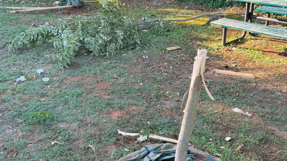 SRAMOTAN VANDALIZAM U ROVINJU: Tek posađena stabla nisu imala nikakve šanse – vandali ih polomili i demolirali!