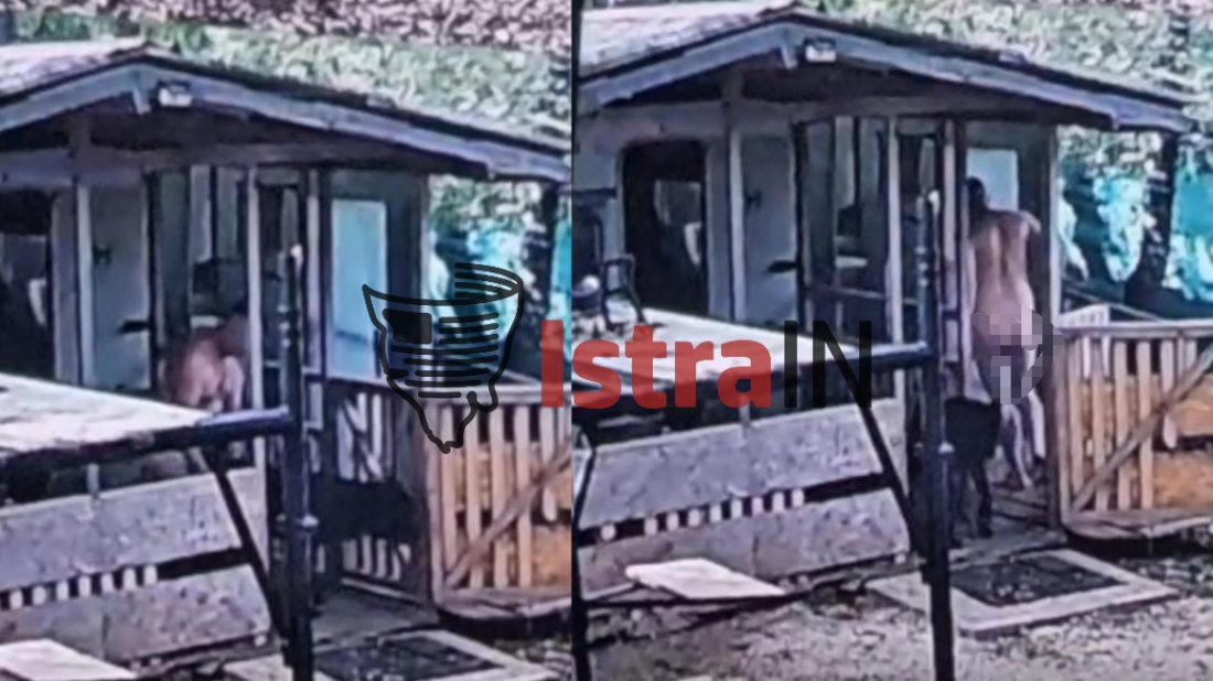 Državni inspektorat o slučaju silovanja psa u Rovinju: Pas odmah oduzet, određena mu je terapija