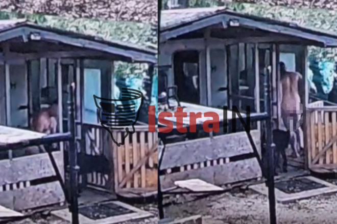 Državni inspektorat o slučaju silovanja psa u Rovinju: Pas odmah oduzet, određena mu je terapija