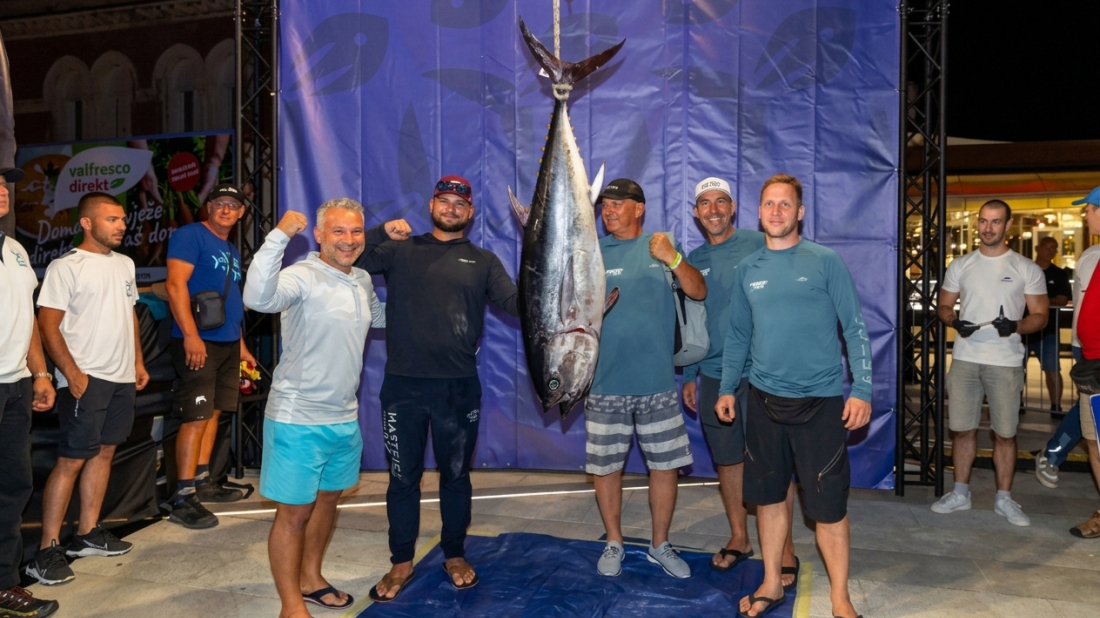 Spektakularan početak TunIstre u Poreču: Ulovljeno šest tuna, najveća težila gotovo 74 kilograma