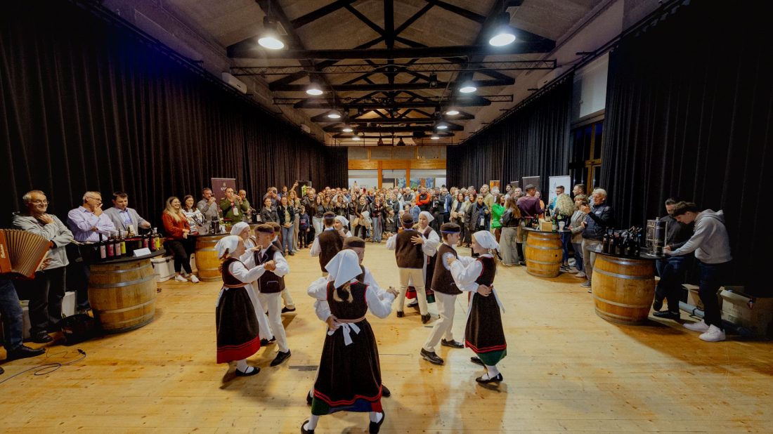 U Svetvinčenat stiže 17 istarskih vinara: Fešta mladega vina donosi degustacije, gastro show i koncert!