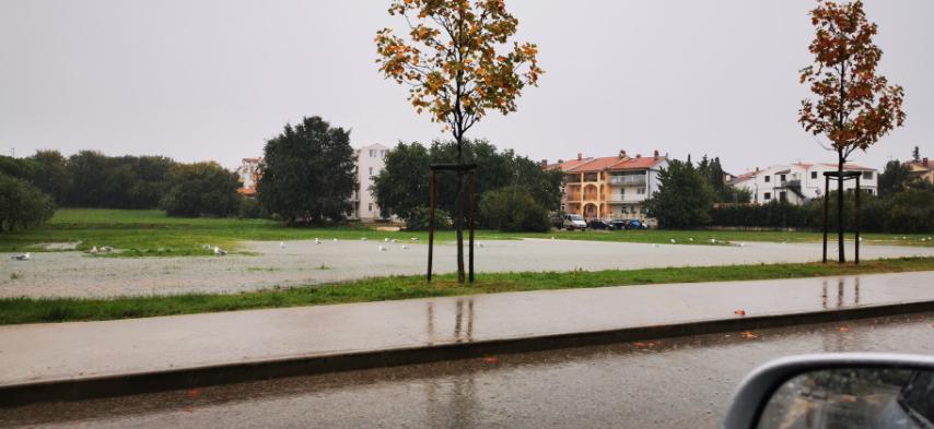 IMG 41af6a126a95e359ddfd8c0a5ac06b11 V