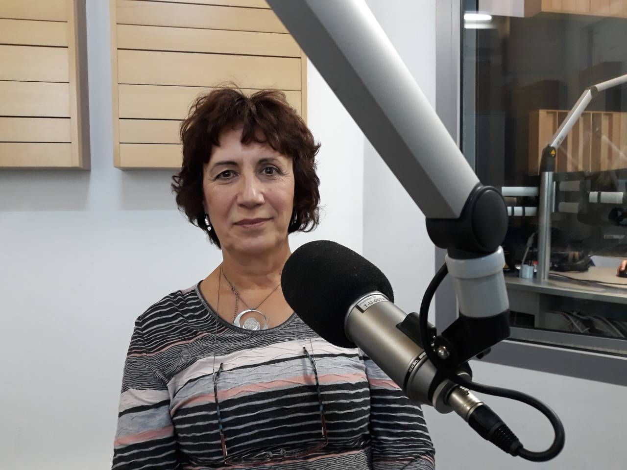 Cvitić: Jakovčić je još 2000. godine planski počeo radit na ovom gdje je Uljanik danas
