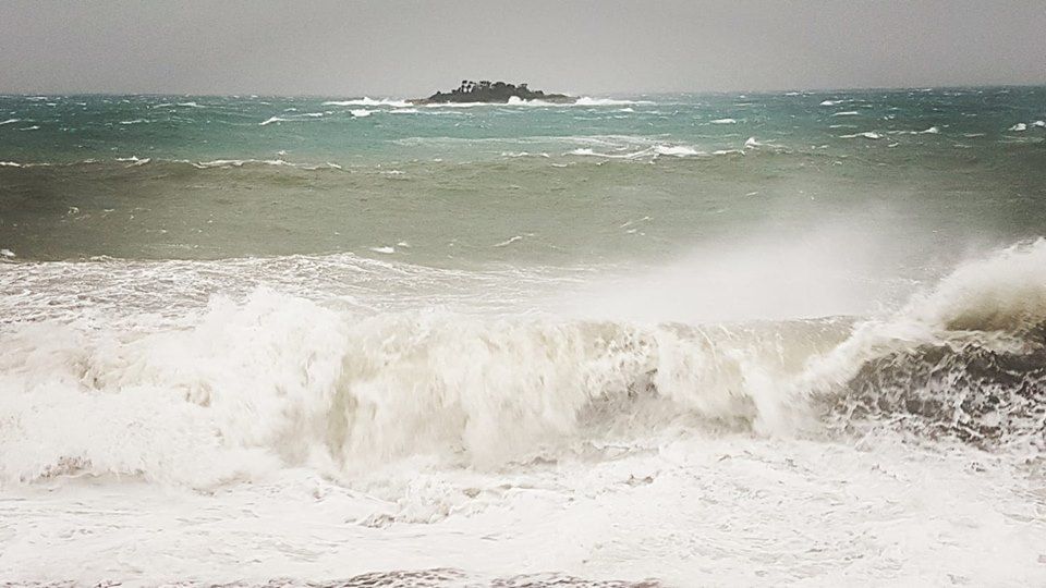 Olujno jugo diljem Istre čupalo stabla i nosilo sve pred sobom