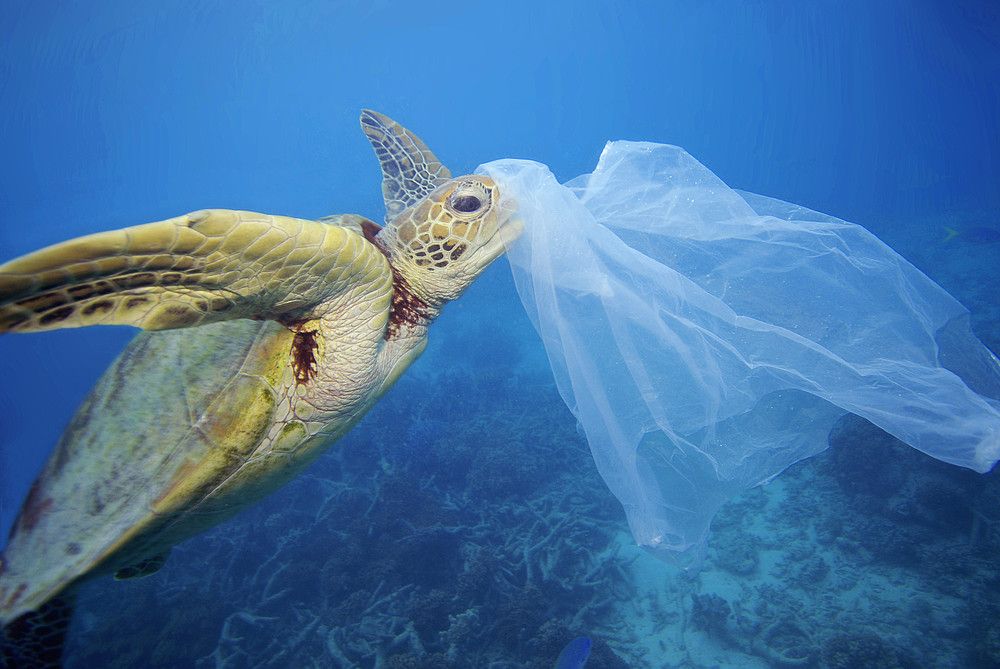 Rovinjski Adriatic prvi hrvatski hotel koji izbacuje jednokratnu plastiku