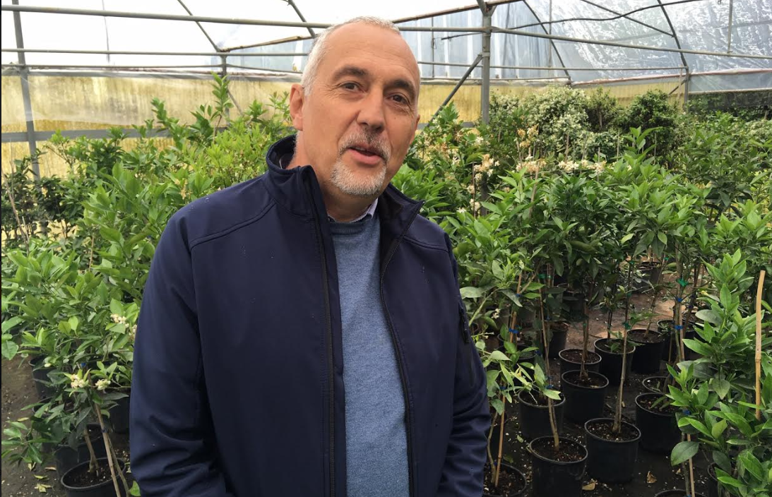 HOĆE LI KIŠNO PROLJEĆE UTJECATI NA POLJOPRIVREDNE URODE?  'Padaline pogoduju razvoju gljivičnih oboljenja' GORDAN TROJANOVIĆ KIŠI IPAK ŽELI DOBRODOŠLICU S RAZLOGOM