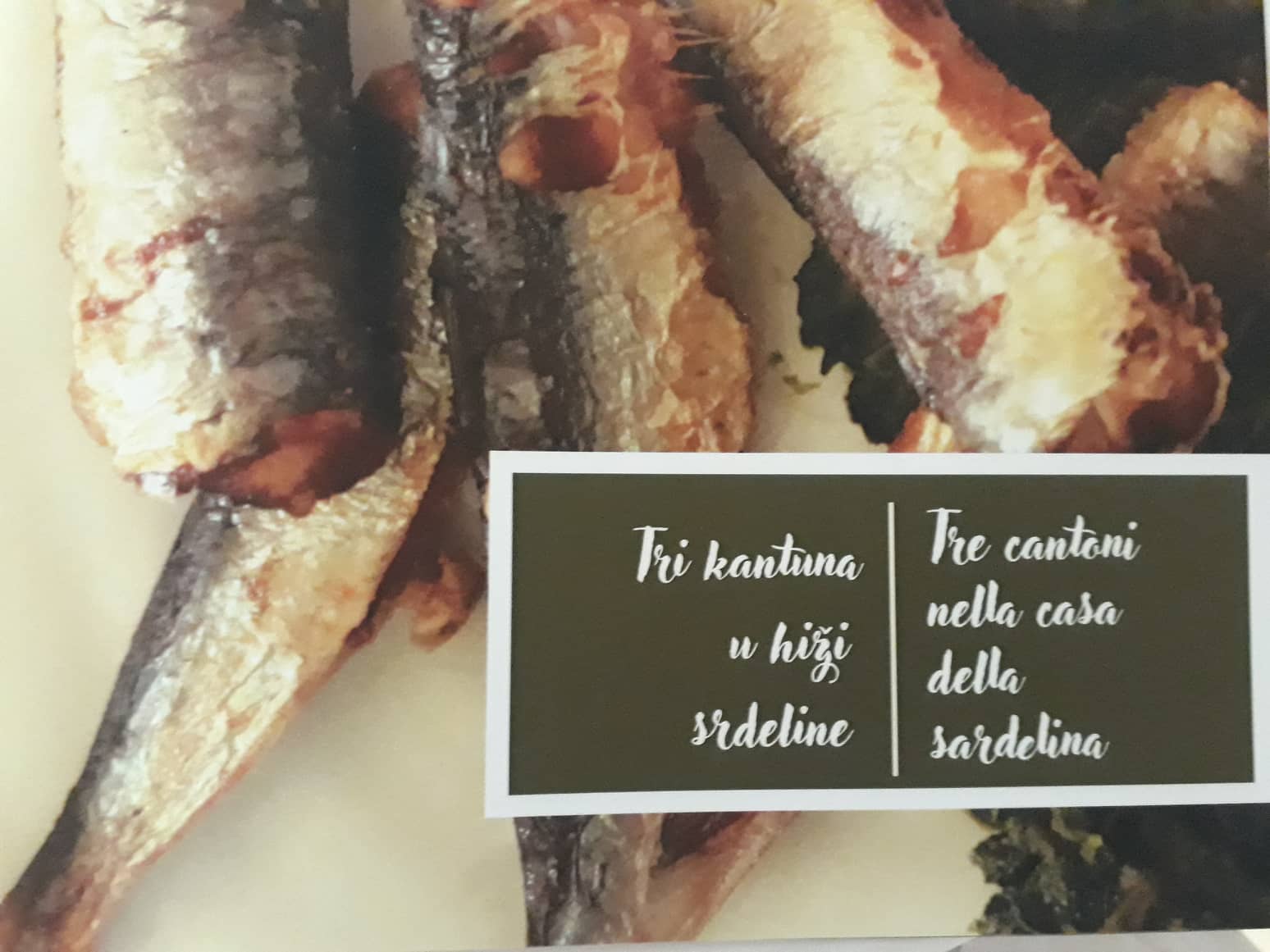 'Tri kantuna u hiži srdeline' - homage učenika rovinjske Strukovne škole djelatnicama Mirne