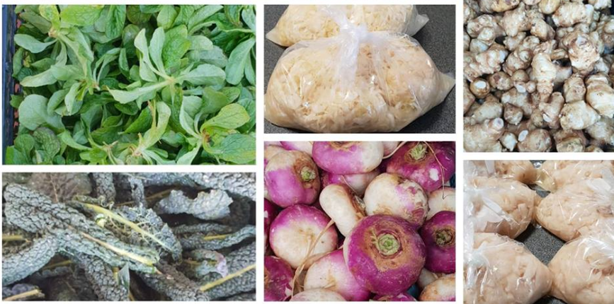 EKO MERKAT PONOVNO U ROVINJU Od srijede u špežu po ljetnom radnom vremenu