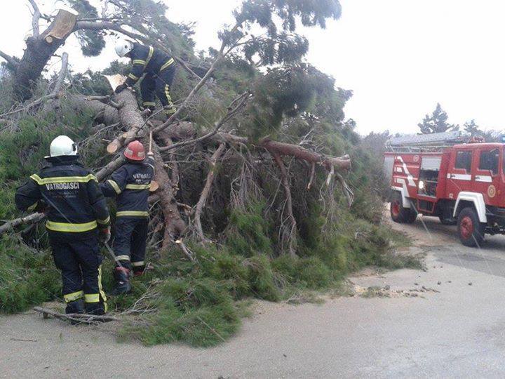 Nevrijeme u Istri vatrogascima donijelo 30-ak intervencija