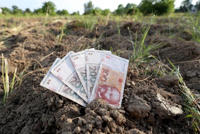 Danas stupa na snagu novi pravilnik o zakupu državnog poljoprivrednog zemljišta