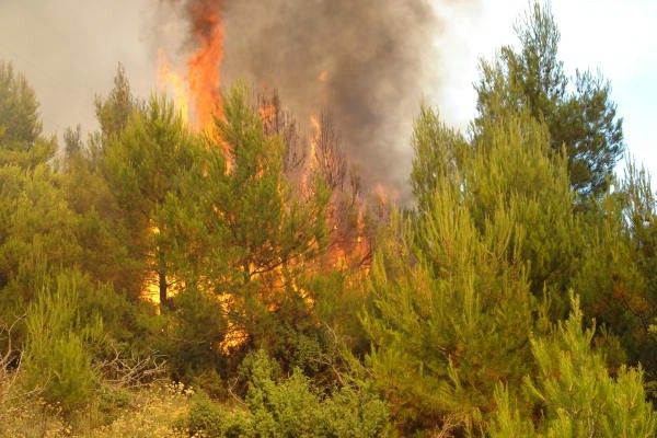 U ISTRI BUKNULA DVA POŽARA Izgorjelo 8 hektara