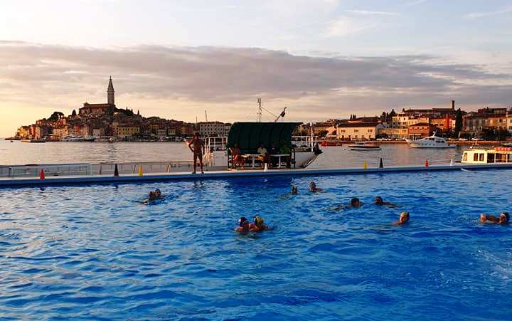 Brojni Delfini odigrali utakmice ususret obilježavanju 70. godini postojanja Kluba