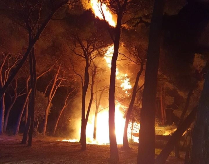 IZGORIO BEACH BAR U ROVINJU Brzom intervencijom vatrogasaca, požar ugašen za sat vremena