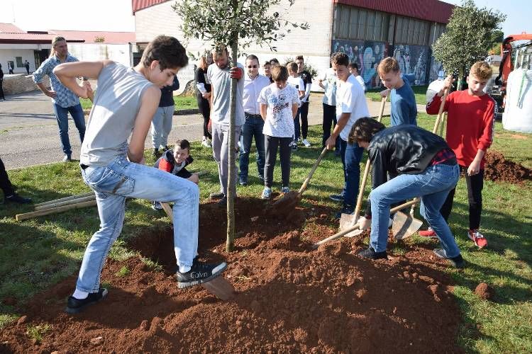 Na području Vodnjana zasađena drveća u sklopu akcije Zasadi drvo, ne budi panj