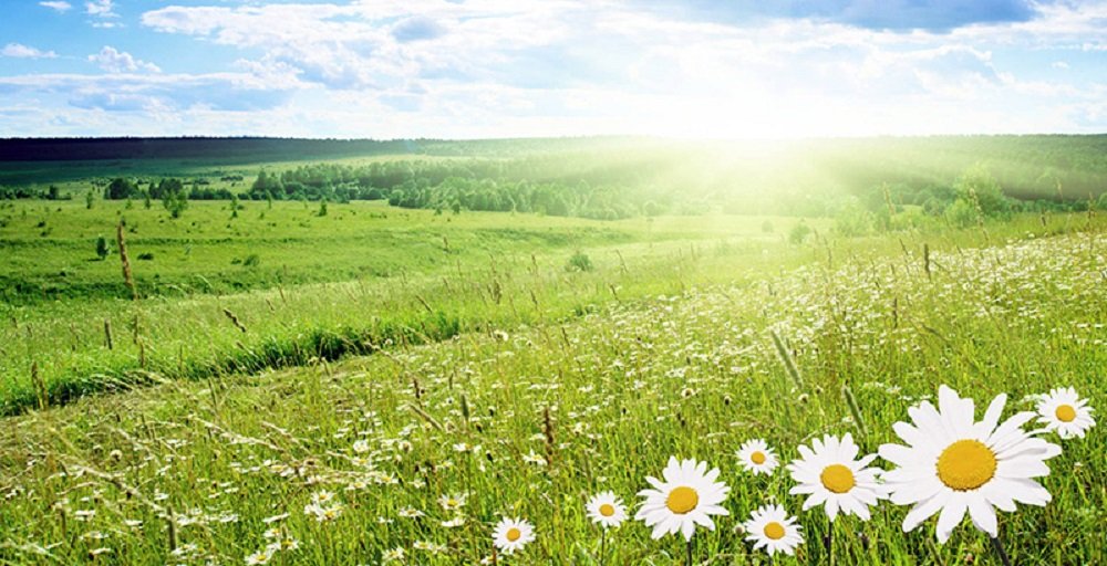 Od sutra ponovno sunčanije, a rastu i dnevne temperature zraka 