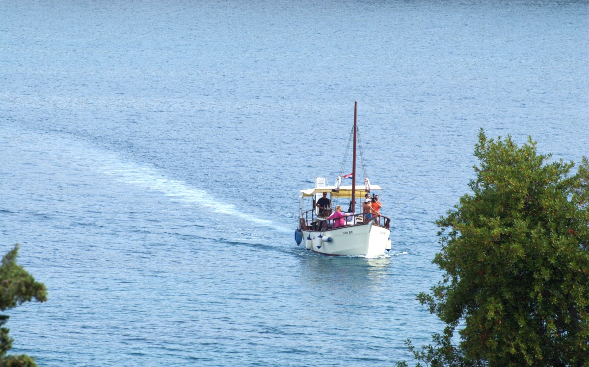 ISTRA DANAS Svi rezultati negativni na koronavirus, nula novooboljelih!