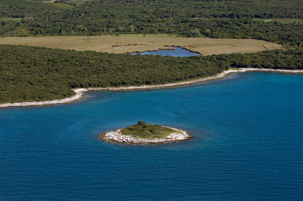 Radionica o Paludu OTKAZANA!