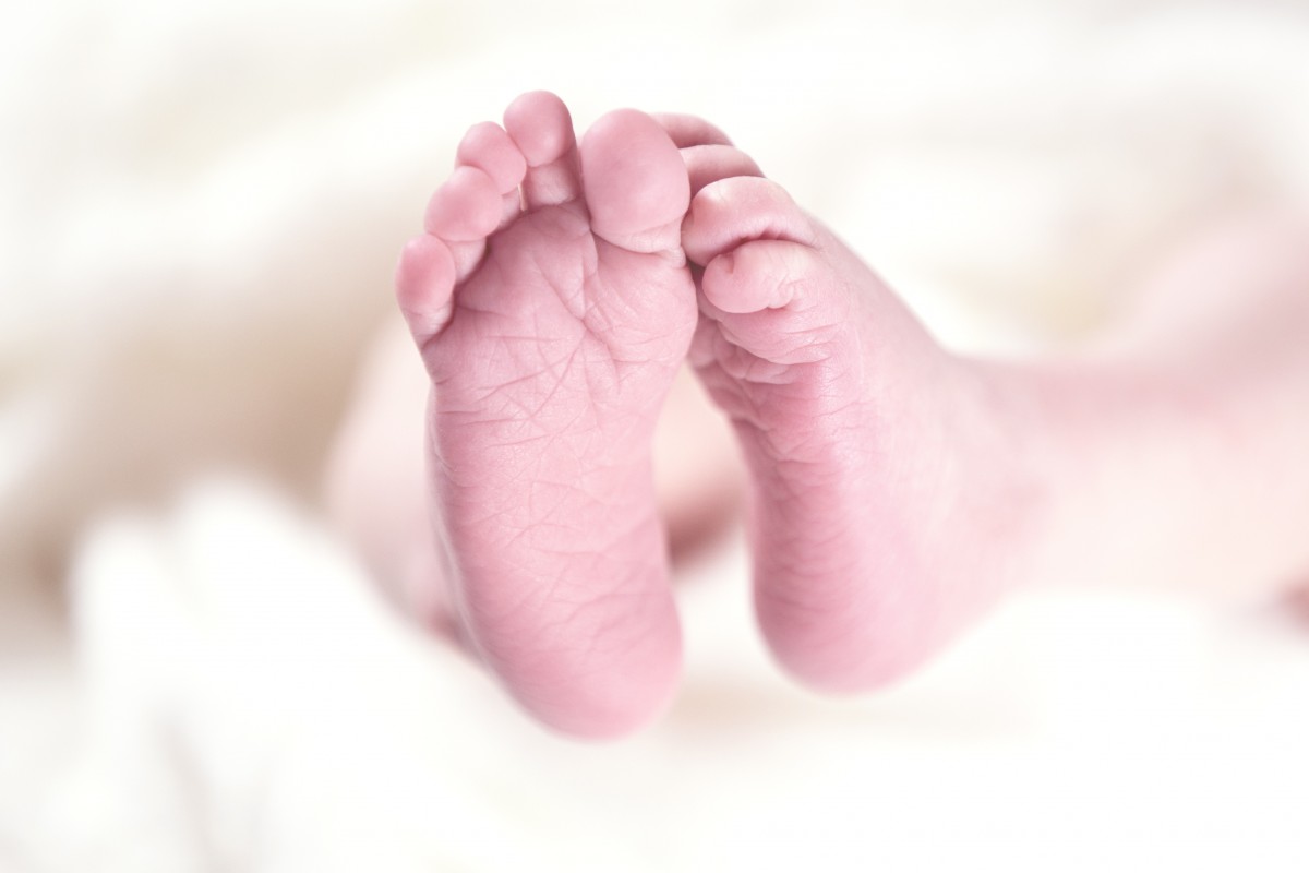 BABY BOOM U PAZINU Pogledajte statističke podatke vitalnog indeksa za Istarsku županiju
