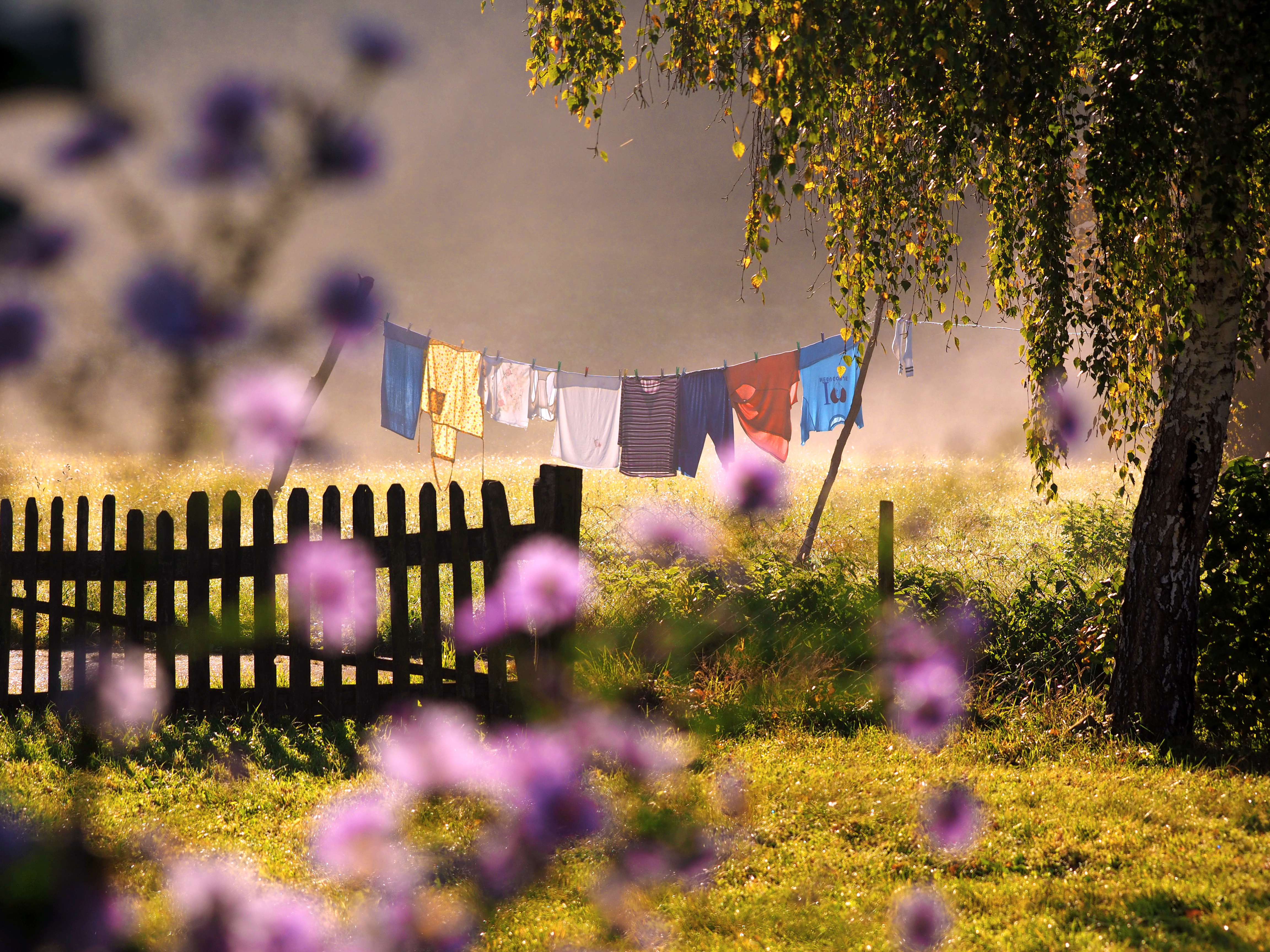 Otvorenje izložbe fotografija “Colors Of The World” u Motovunu