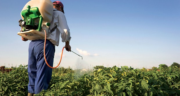 Uskoro u Novigradu tečaj sigurnog rukovanja pesticidima