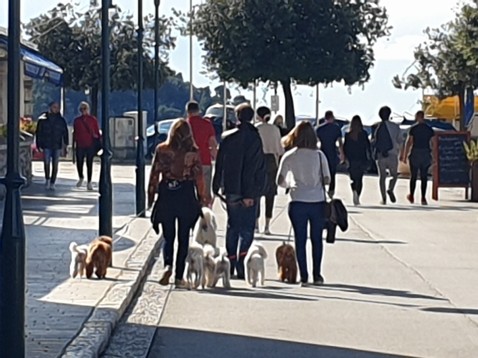 Sunčano vrijeme izmamilo na otvoreno brojne Rovinjce