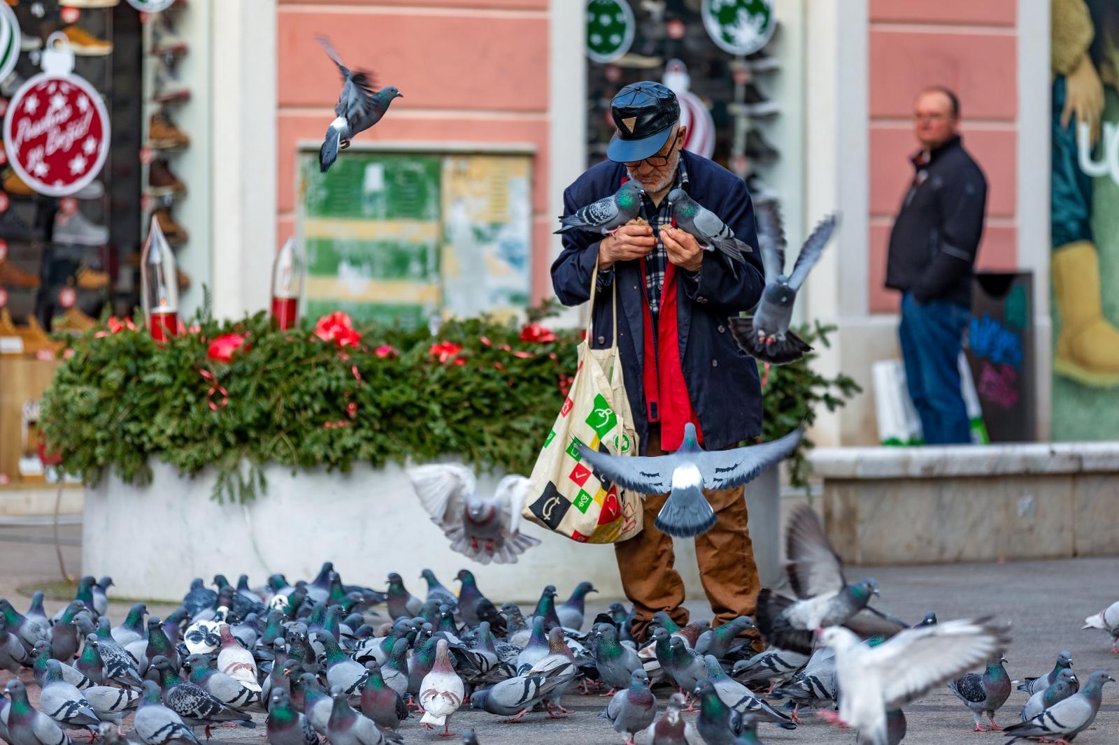 Popularni Mujo i dalje svakodnevno hrani golubove u centru Pule