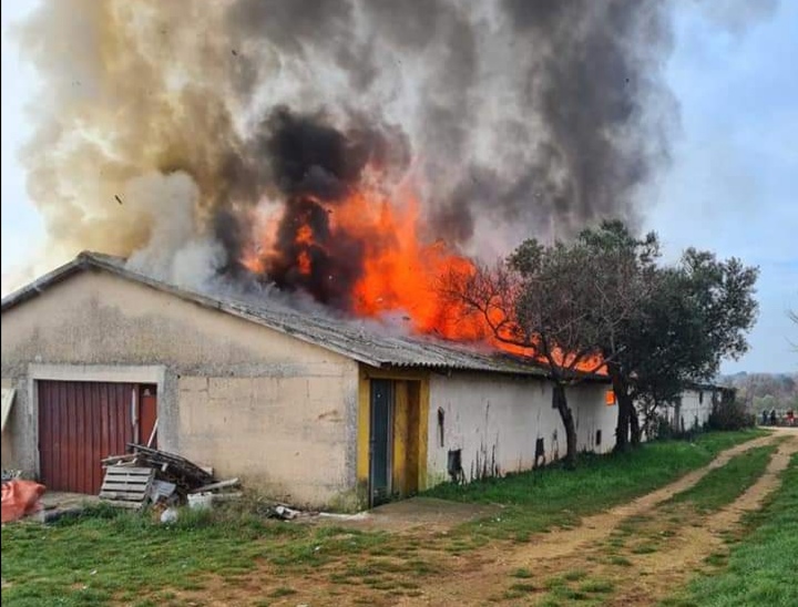 ROVINJ: U velikoj buktinji izgorjelo cijelo skladište POŽAR GASILO 10 VATROGASACA 