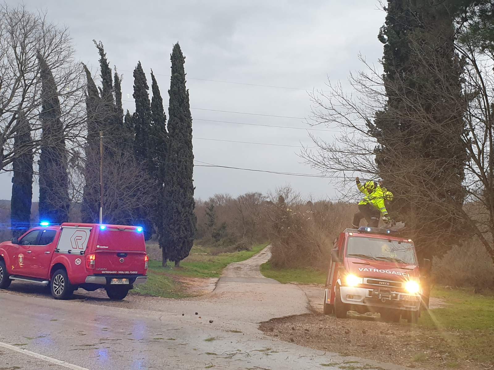 OLUJNI VJETAR U ROVINJU SRUŠIO STABLO Grane pale na telefonski kabel DJELATNICI JVP ROVINJ SU NA TERENU