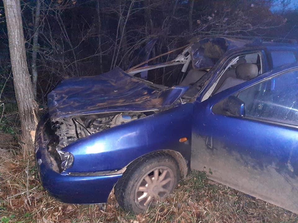 NA CESTI UMAG-NOVIGRAD U prometnoj nesreći poginulo 6 magaraca