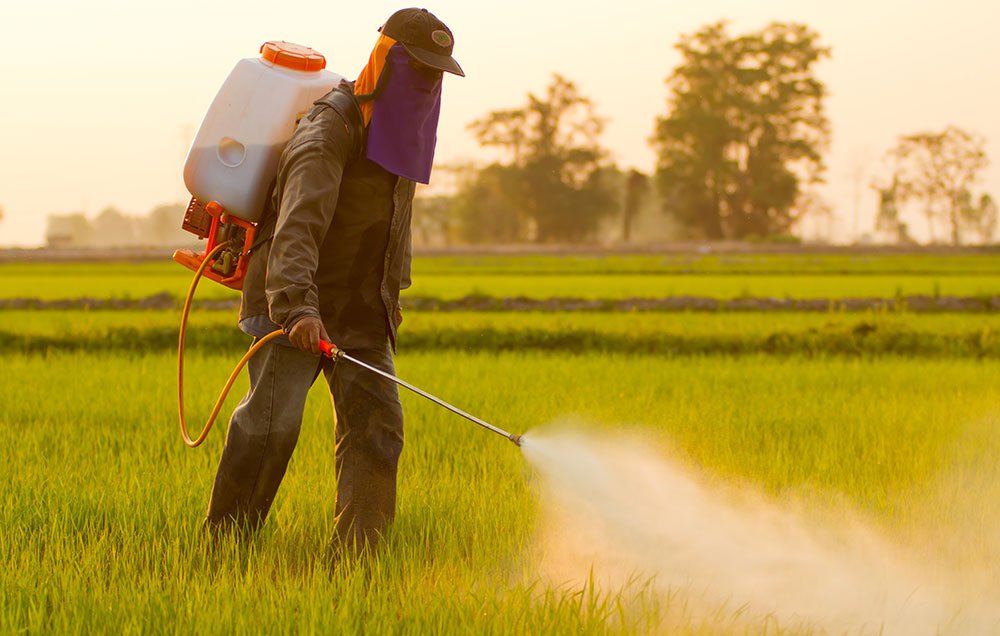 Što morate znati o pravilnoj uporabi pesticida, naučite u Labinu