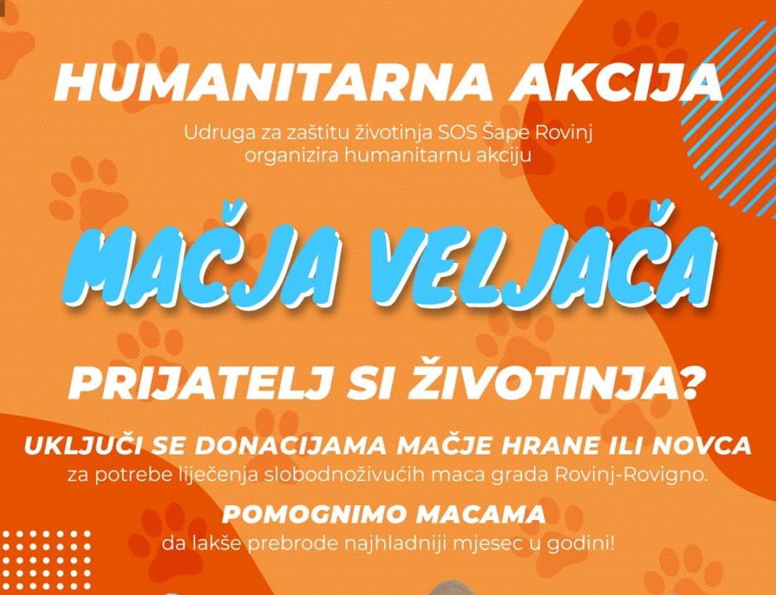 MAČJA VELJAČA Uključite se u humanitarnu akciju udruge SOS Šape Rovinj